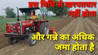 गन्ने की नई तकनीक पेट्रो विधि पर रोटावेटर से मड़ाई करी ट्रैक्टर से