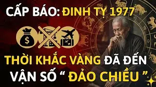 Đinh Tỵ 1977: Rắn Lột Xác Hóa Rồng – Thời Khắc 