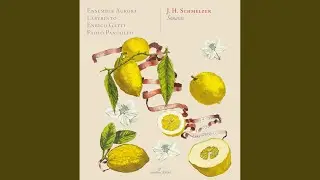 Sacro-profanus concentus musicus: Sonata No. 4 a 6