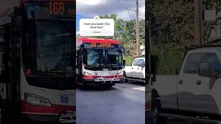 [New Bus] TTC #7208 New Flyer XDE40 Xcelsior 9/14/2023