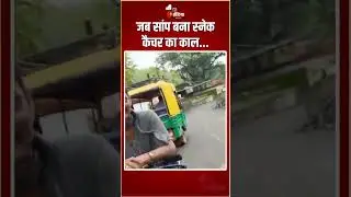 Snake Catcher Viral Video: जब सांप बना स्नेक कैचर का काल... | Snakebite Incident | Madhya Pradesh