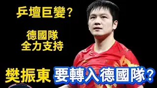 樊振東將要轉入德國隊？德國乒協正在全力爭取，乒壇格局大變革要來了