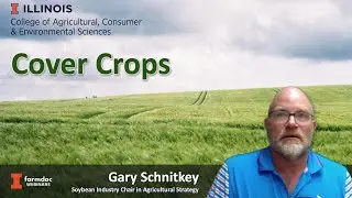 Cover Crop's Impact on Crop Insurance and MFP - 2019
