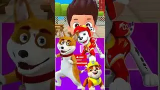 Paw 🐾 Patrol- 🆚 Owlette 🆚 Gekko X Dance Song #tileshopedmrush #pjmaskschinese  #pawpatrol