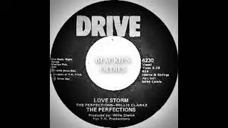 Love Storm 〰️ The Perfections 