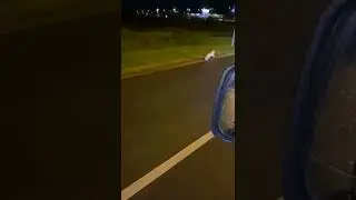 fuck the police