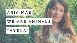 Hyena Totem - Spirit Animal Guided Meditation #8