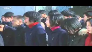 Demon Slayer Players React to NERF
