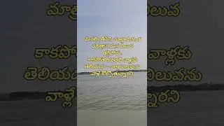 Being discarded doesn&rsquo;t reduce your worth.&rdquo; #shorts #lifelessons #quotes #telugu#bepositive#reality