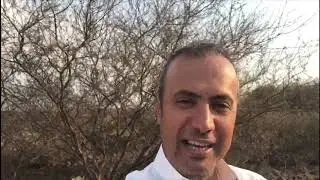 جنان الرحمن في مكة المكرمة (الجزء الثاني)