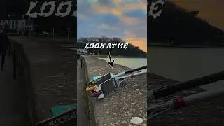 idk scooters