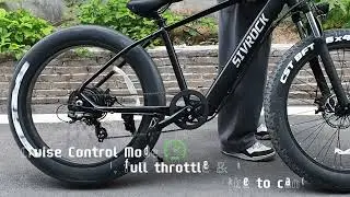 Professional Adults Fat Tire Electric 1000W Motor 48V 15Ah Ebike For Trail Excursions and Travel