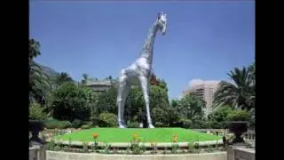 Jet Set Giraffe