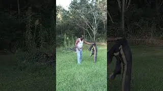 Randy doing krav maga scissors sweep