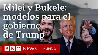 C&oacute;mo Milei y Bukele se han convertido en modelos para el nuevo gobierno de Trump
