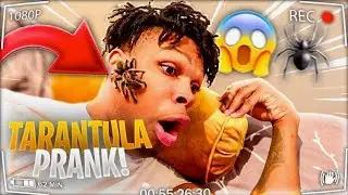 TERRIFYING REAL TARANTULA PRANK ON MY BROTHER!! **BAD IDEA** FT IAMJUSTAIRI