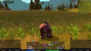 Rite of Wisdom // World of Warcraft 20th Anniversary