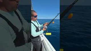 Как профессионалы морских рыболовных турниров всегда готовы ловить рыбу.