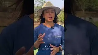 Como resolver o nitrito na sua cria&ccedil;&atilde;o de peixes! Tenha uma Piscicultura Forte!