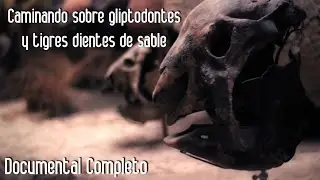 DOCUMENTAL COMPLETO - 
