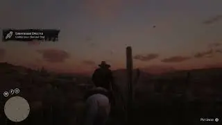 RDR2 Zoologist - California Horned Owl (see desc)