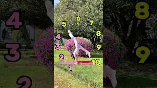Flexibility Level Check: What&rsquo;s Your Number? 🤸&zwj;♀️✨