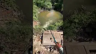 &ldquo;Rural Fishing Vlog Calm River Scenes and Surprise Big Catch&rdquo;