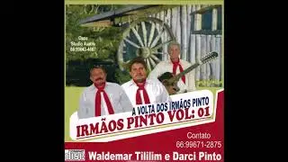 03.  Irm&atilde;os Pinto CD -- Baile de Grosso - Darci & Tililim