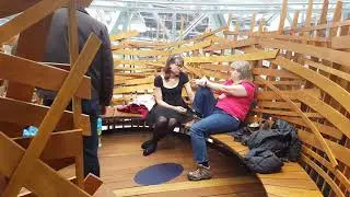 True Seattleite Tours The Amazon Spheres