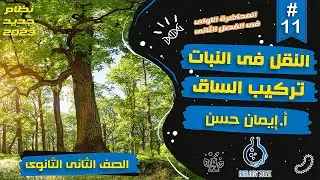 #11 | شرح درس النقل فى النبات - تركيب الساق | احياء تانيه ثانوى الترم الاول 2023 | إيمان حسن