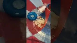 Elle Tombe De Sa Bou&eacute;e Dans Un Parc Aquatique 😱