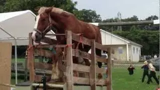 Amish horse on  tread mill turning ice cream freezer. IMG_2269.MOV