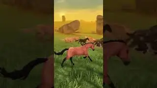 He liked this herd of horses #horses #starstable