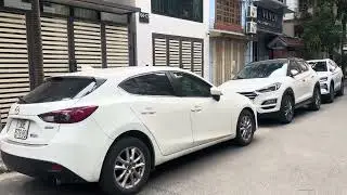 Bụi mịn trong vườn hoa https://buimin.org