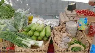 Bucerias Seasonal Farmers Market