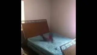 Bounce