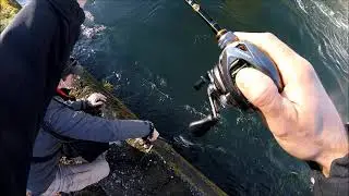 -BIG ZANDER- pesca in canale con attrezzatura da CASTING(bfs)...lucioPERCA
