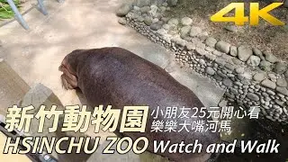4K｜新竹動物園好好玩一起來看看有那些可愛的動物吧｜無柵欄的新竹動物園走遊｜Hsin Chu Zoo ｜Natural Taiwan｜新竹景點