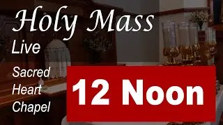 Live Mass: 12 Noon - St John - Sat - Dec 27