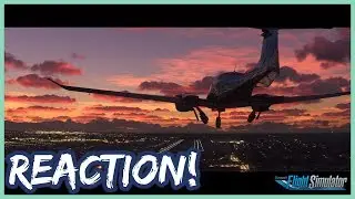 Microsoft Flight Simulator E3 2019 Trailer Reaction