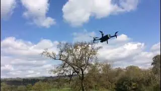 Flyhal FX-1 Flight