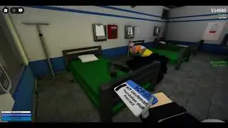 Loser Flamingo fails to escape medical room