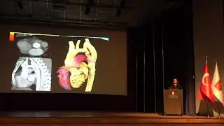 Hacettepe Mediverse Toplantıları VI