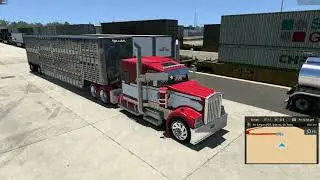 Lets haul some cattle ( American Truck Simulator )