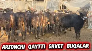 +998905269399 Xammasi SHVET Arzonchi Qaytti Buqani FULL Varyantlari Ulgurib Qoling 1-fevral, 2026
