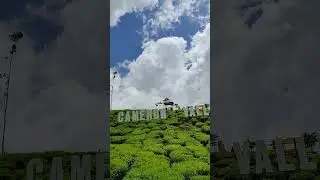 cameron valley tea 🍵🌿