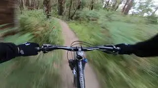 Follow Me - Lysterfield Lake Mountain Biking 2020