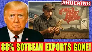 U.S. Soybean Exports Plunge 88%! 10 States on the Edge of Collapse