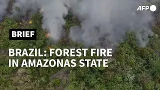 Brazil: forest fire in Amazonas state | AFP