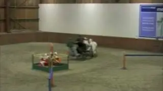 Indoor Driving Trials - Highland Ponies - Merrist Wood - 14 Dec 08 - Obstacle 3